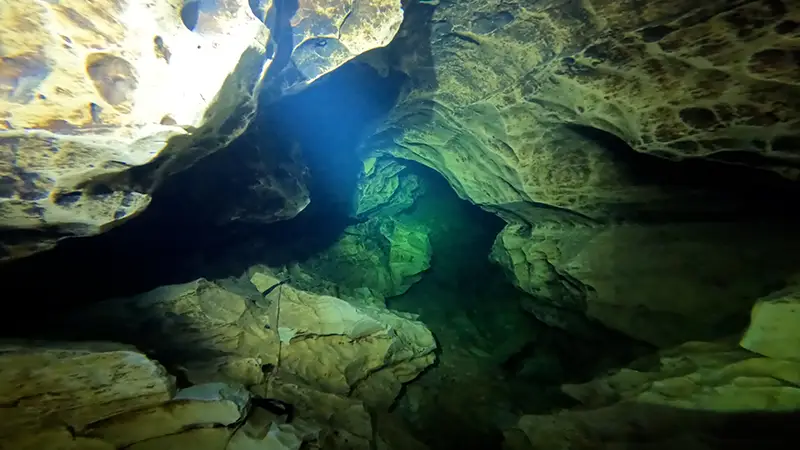 Le magnifique S2 de Truffe