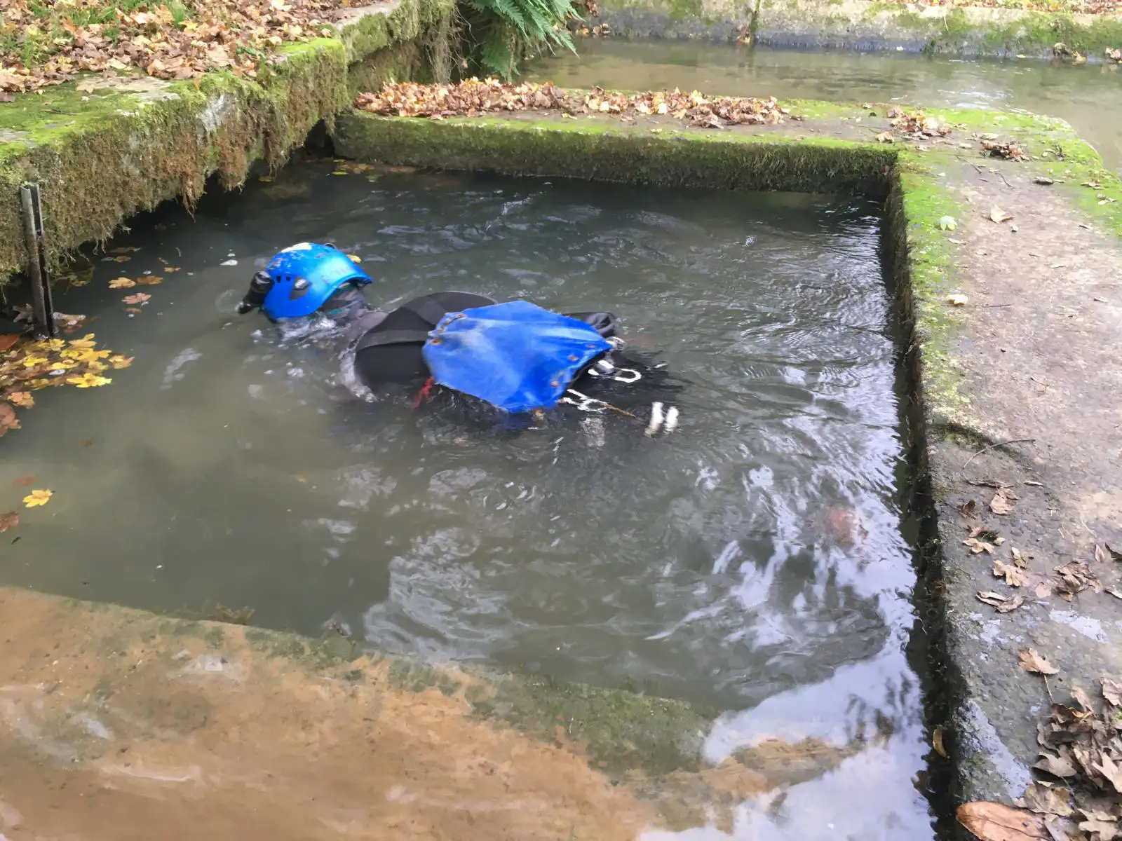 Plongée dans la touille